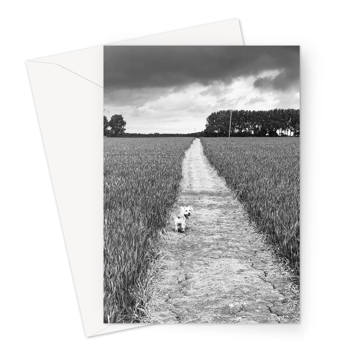 Jooie Parting the Way - Black & White Greeting Card