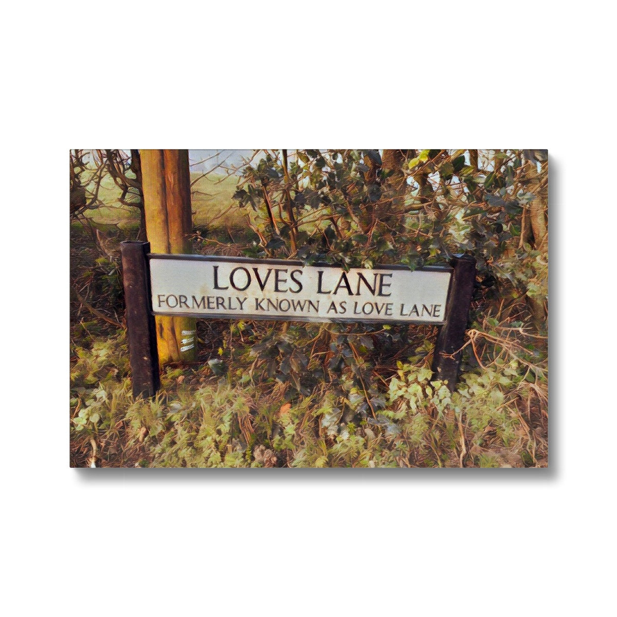 Loves Lane  -  Watercolour Canvas