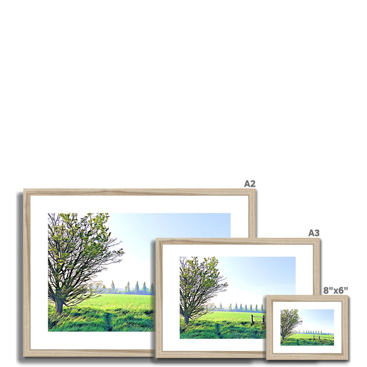 Poplars from Gardiners Lane - Illustrated Framed & Mounted Print