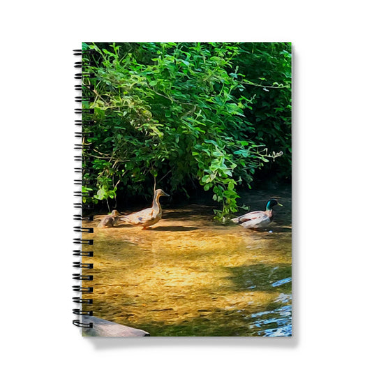 Ashwell Springs Ducks - Oil Notebook