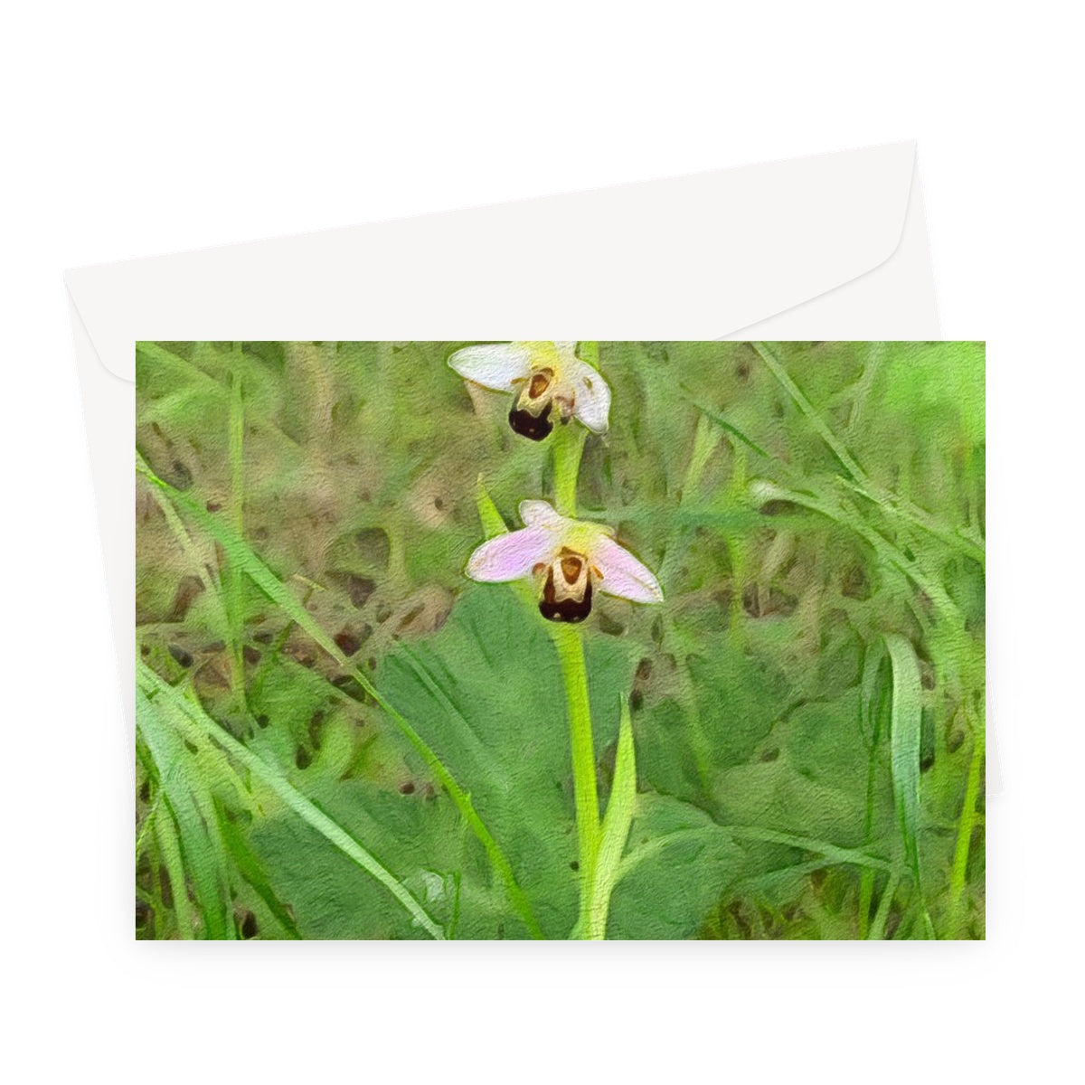 Bee Orchid on Morning Walk - Oil Greeting Card