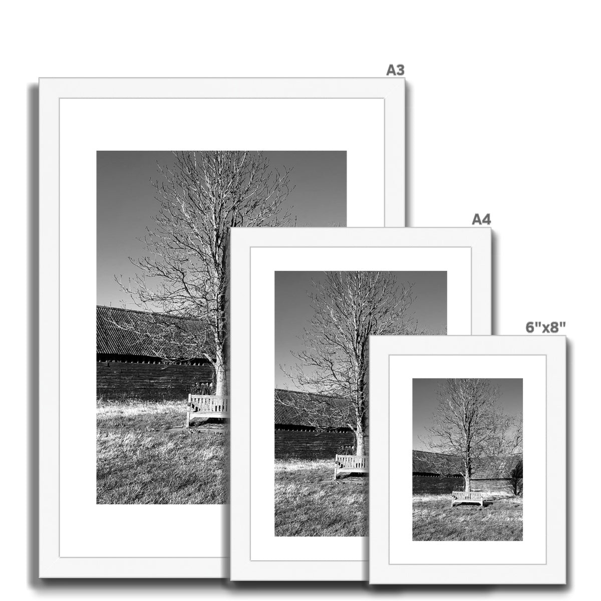 Bench at Bluegates - Black & White Framed & Mounted Print