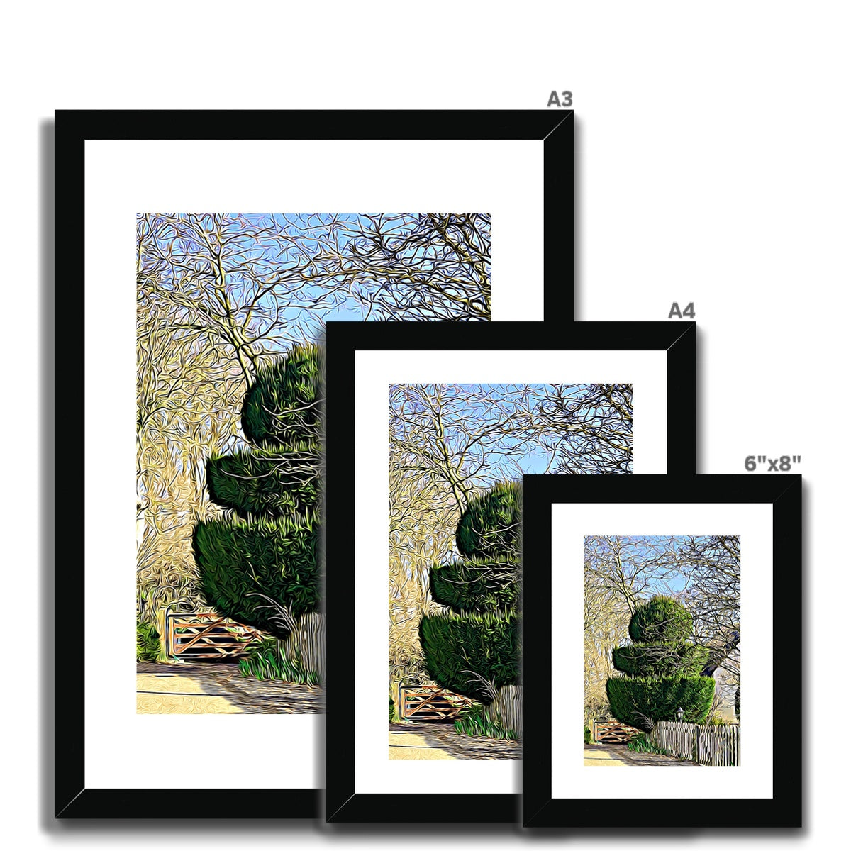 Hodwell Topiary - Illustrated Framed & Mounted Print