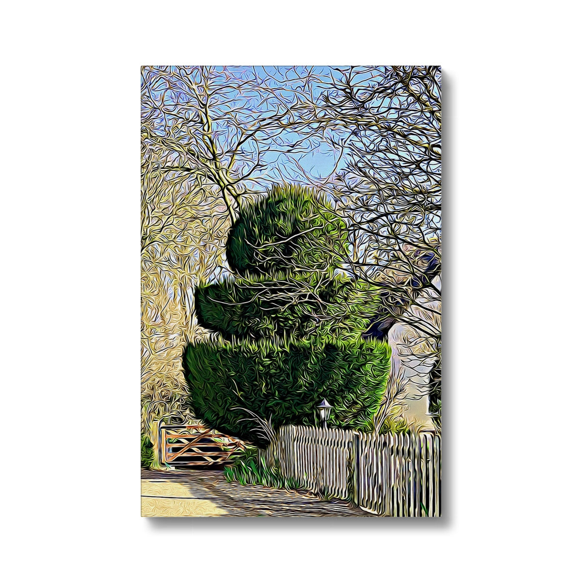 Hodwell Topiary - Illustrated Canvas