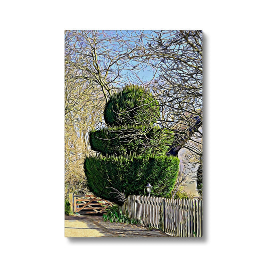 Hodwell Topiary - Illustrated Canvas