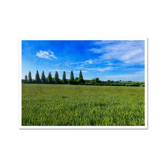 Poplars - Oil Fine Art Print