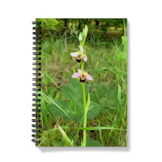 Bee Orchid on Morning Walk - Oil Notebook