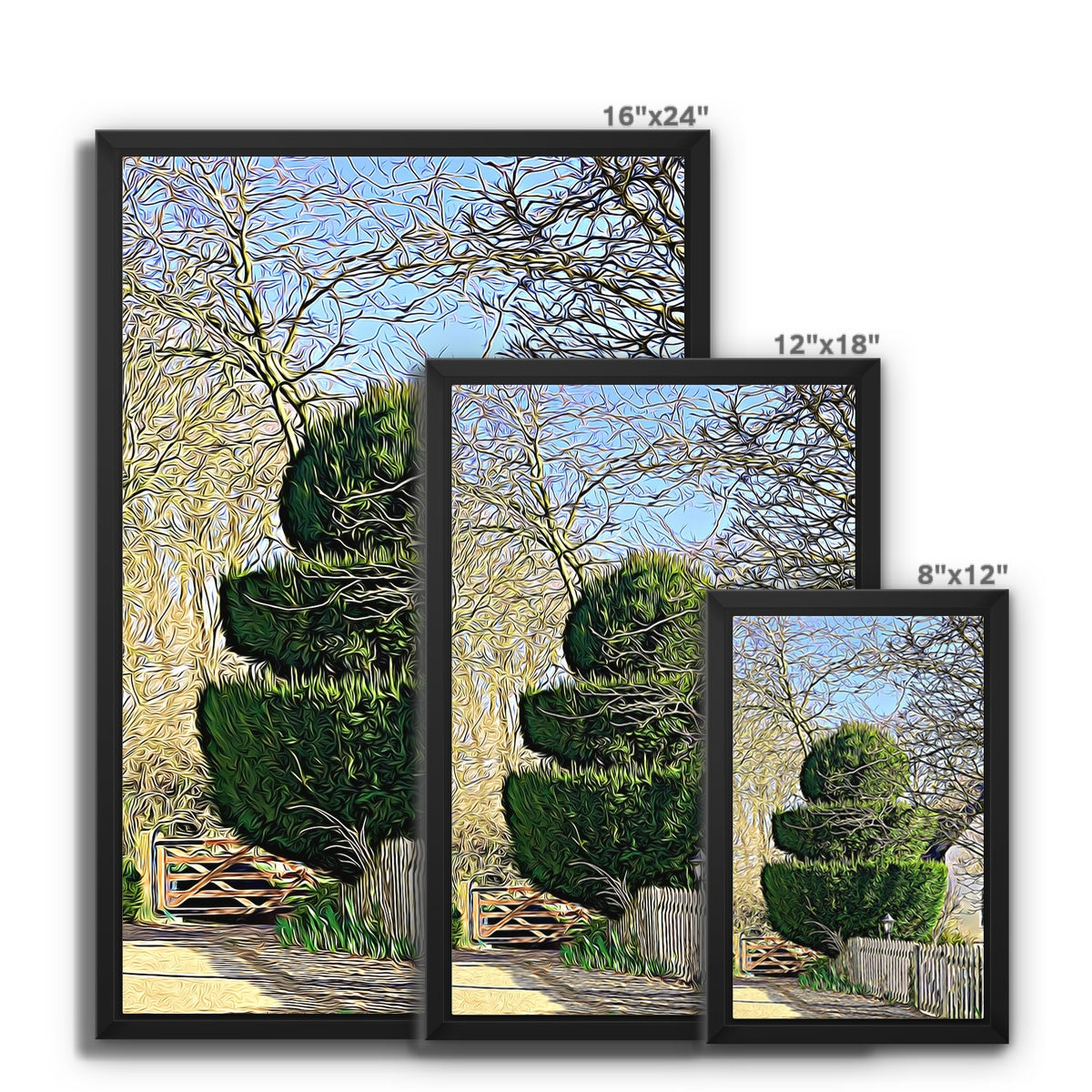 Hodwell Topiary - Illustrated Framed Canvas